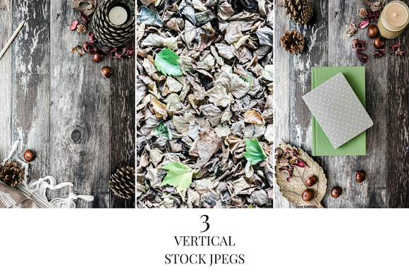 Autumn Woodlands in Social Media Templates - product preview 1