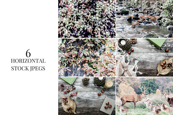 Autumn Woodlands in Social Media Templates - product preview 3