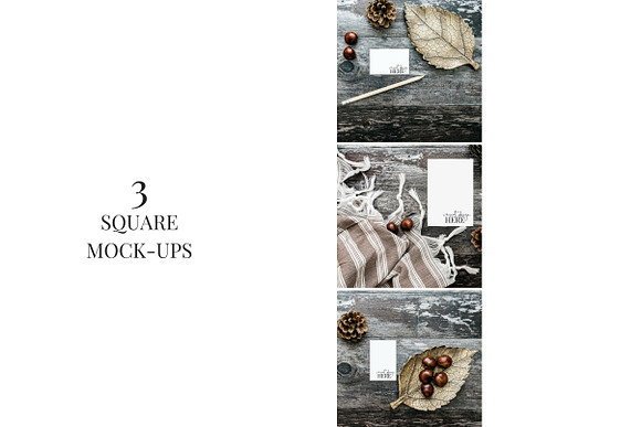 Autumn Woodlands in Social Media Templates - product preview 6