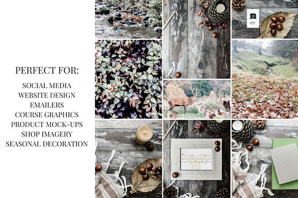 Autumn Woodlands in Social Media Templates - product preview 7