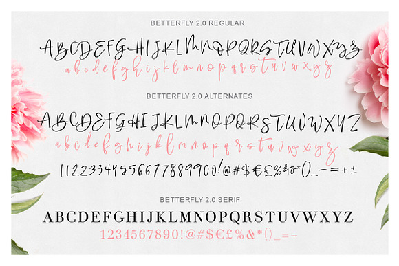 BetterFly 2 - Dynamic Font Duo in Tattoo Fonts - product preview 17