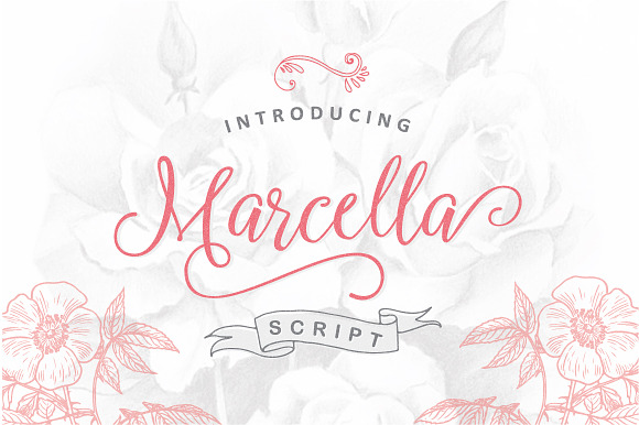 Marcella Script in Script Fonts - product preview 4