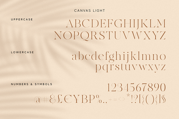 MADE Canvas | 32% Off in Serif Fonts - product preview 3