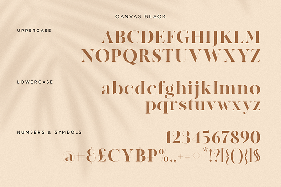 MADE Canvas | 32% Off in Serif Fonts - product preview 5