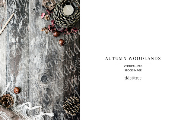 Autumn Woodlands | Vertical No 5