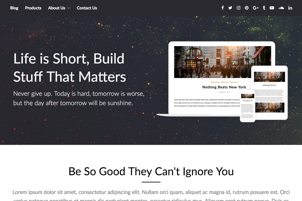 PageBuilderly Premium in WordPress Landing Page Themes - product preview 8