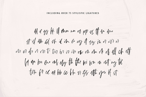 Americano Signature Script in Signature Fonts - product preview 10