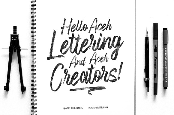 Fronds Getturing (50% Off) in Script Fonts - product preview 4