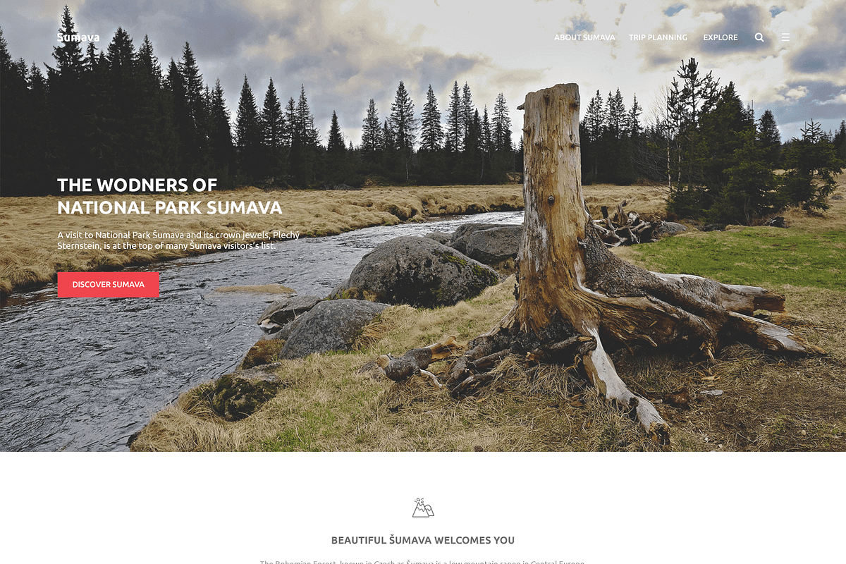 Sumava: One-Page PSD Template in Landing Page Templates - product preview 8