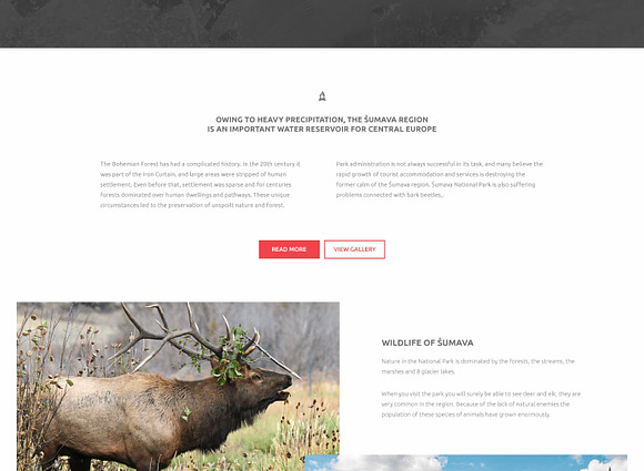 Sumava: One-Page PSD Template in Landing Page Templates - product preview 3