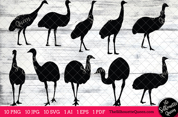 Emu bird Silhouette Clipart Vector in Objects - product preview 1