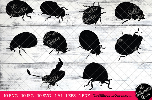 Ladybug Silhouette Clipart Vector in Objects - product preview 1
