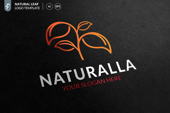 Natural Leaves Logo in Logo Templates - product preview 1