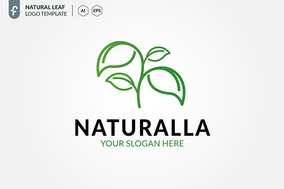 Natural Leaves Logo in Logo Templates - product preview 2
