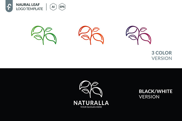 Natural Leaves Logo in Logo Templates - product preview 4