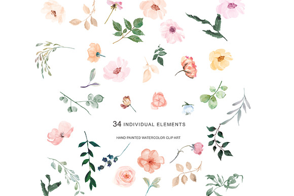 Hand Painted Watercolor Blush Floral in Illustrations - product preview 1