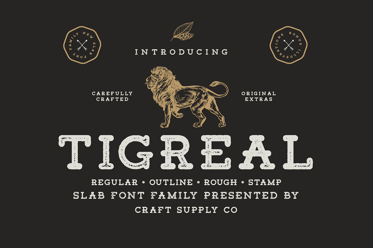Tigreal Font Family + Illustrations in Slab Serif Fonts - product preview 8