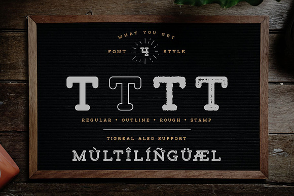Tigreal Font Family + Illustrations in Slab Serif Fonts - product preview 3