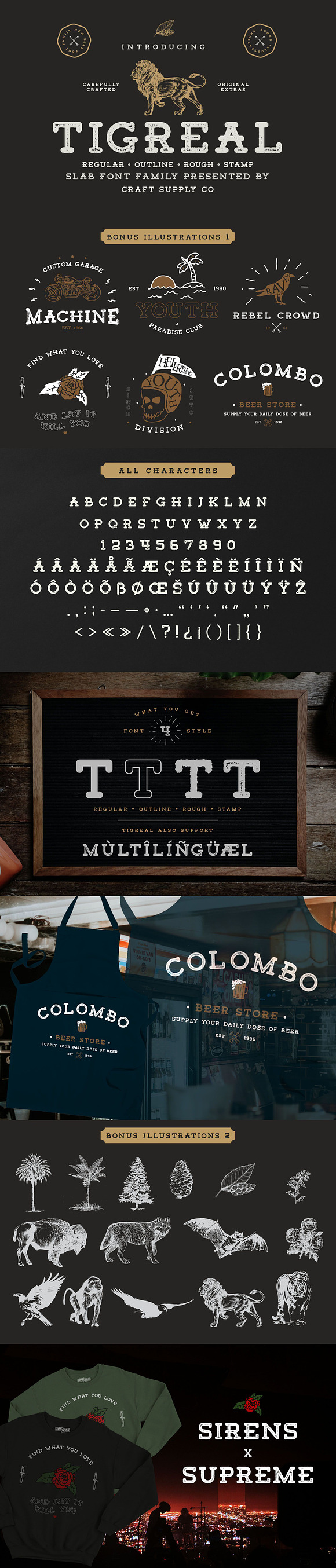Tigreal Font Family + Illustrations in Slab Serif Fonts - product preview 7