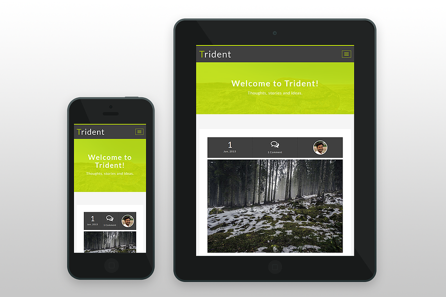 Trident - Minimal Ghost Blog Theme in Ghost Themes - product preview 8