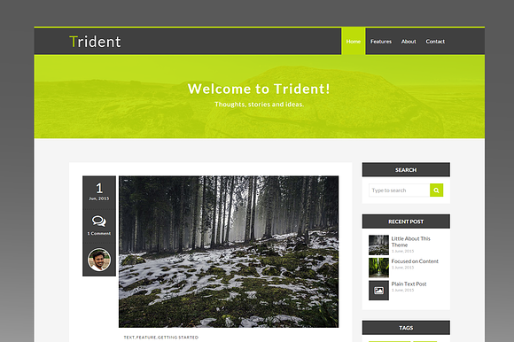 Trident - Minimal Ghost Blog Theme in Ghost Themes - product preview 1