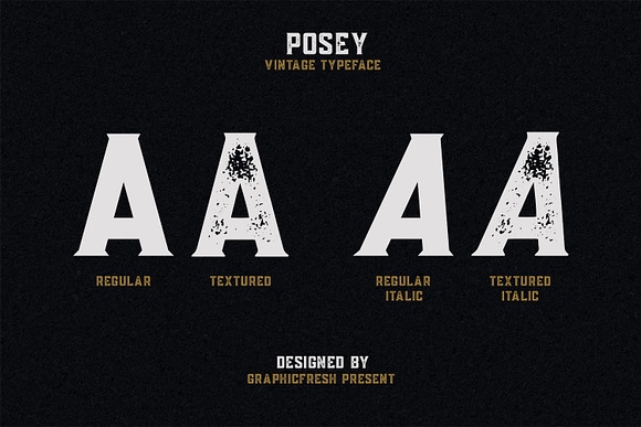 Posey - Vintage Type | 4 Font Files in Sans-Serif Fonts - product preview 2