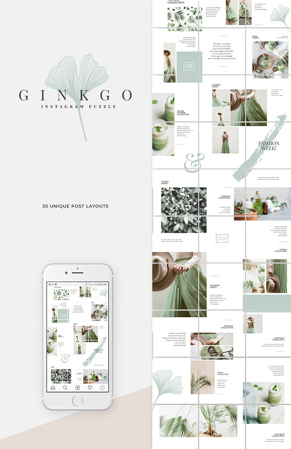 Ginkgo Complete Pack in Keynote Templates - product preview 5