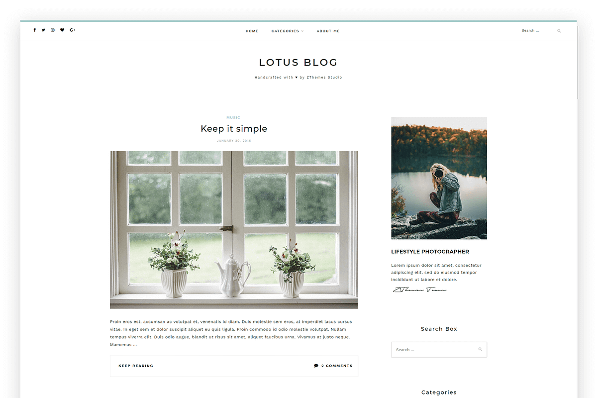 LotusLite - A Clean & Elegant blog in WordPress Blog Themes - product preview 8