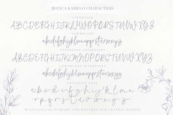 Bianca Kamelo Font in Script Fonts - product preview 9