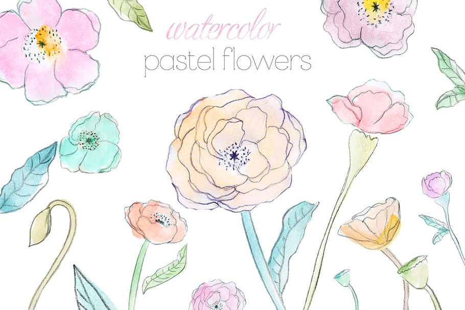 Pastel Watercolor Flowers