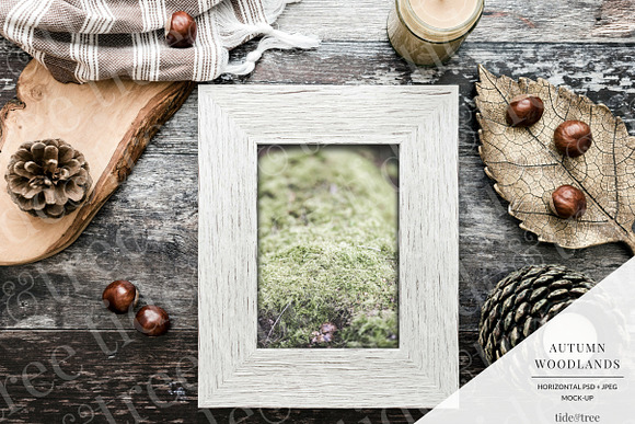 Autumn Woodlands | Horizontal No 1 in Social Media Templates - product preview 1