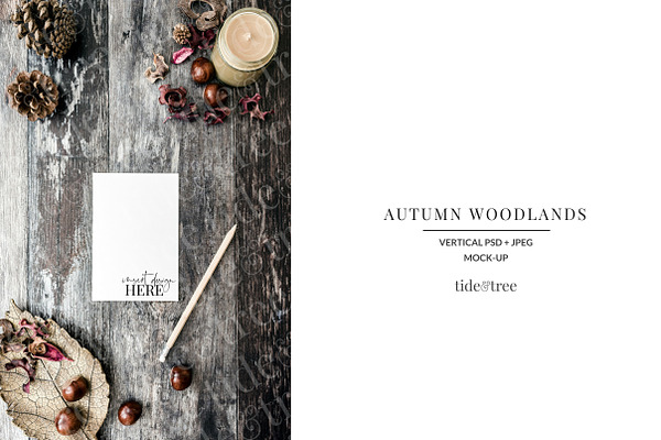 Autumn Woodlands | Vertical No 2