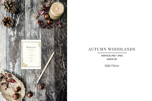Autumn Woodlands | Vertical No 2 in Social Media Templates - product preview 1