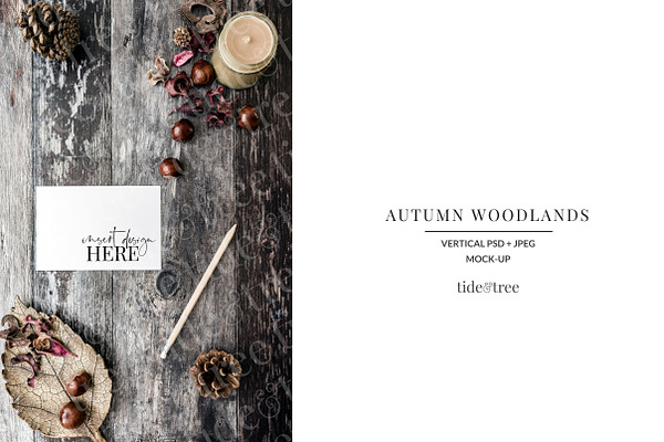 Autumn Woodlands | Vertical No 3