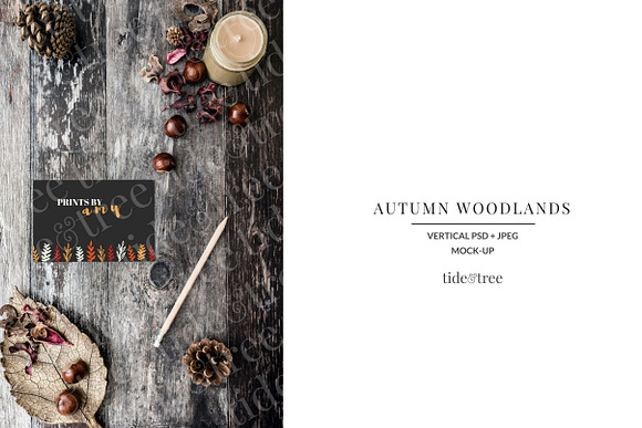 Autumn Woodlands | Vertical No 3 in Social Media Templates - product preview 1