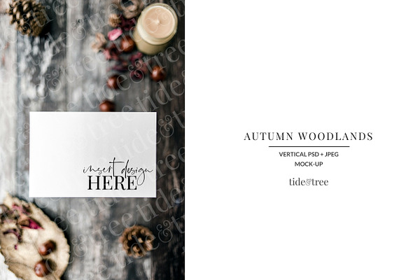 Autumn Woodlands | Vertical No 4