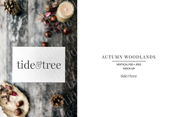 Autumn Woodlands | Vertical No 4 in Social Media Templates - product preview 1