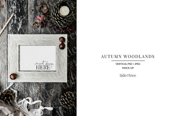 Autumn Woodlands | Vertical No 6
