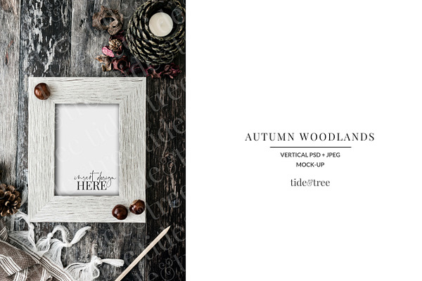 Autumn Woodlands | Vertical No 7