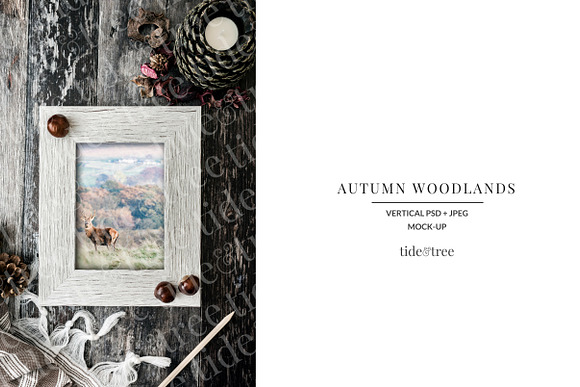 Autumn Woodlands | Vertical No 7 in Social Media Templates - product preview 1