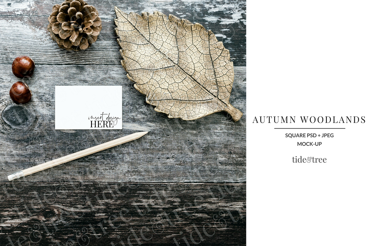 Autumn Woodlands | Square No 1 in Social Media Templates - product preview 8