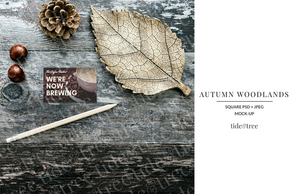 Autumn Woodlands | Square No 1 in Social Media Templates - product preview 1