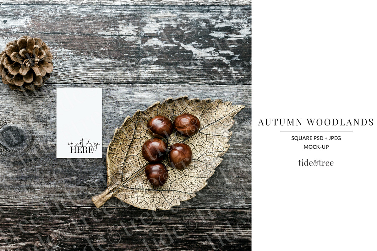 Autumn Woodlands | Square No 2 in Social Media Templates - product preview 8