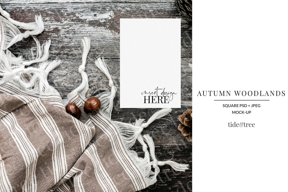 Autumn Woodlands | Square No 5 in Social Media Templates - product preview 8