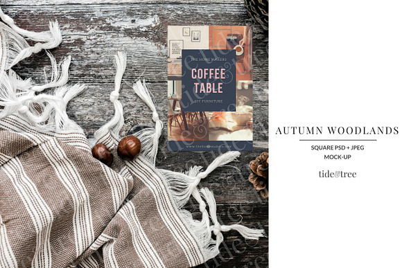 Autumn Woodlands | Square No 5 in Social Media Templates - product preview 1