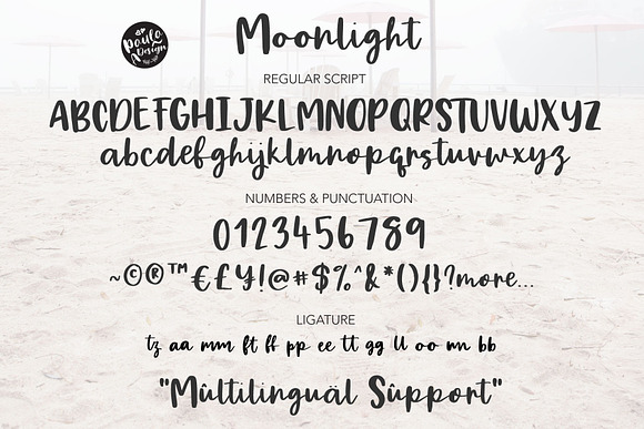 Moonlight | Script Font Duo in Script Fonts - product preview 5