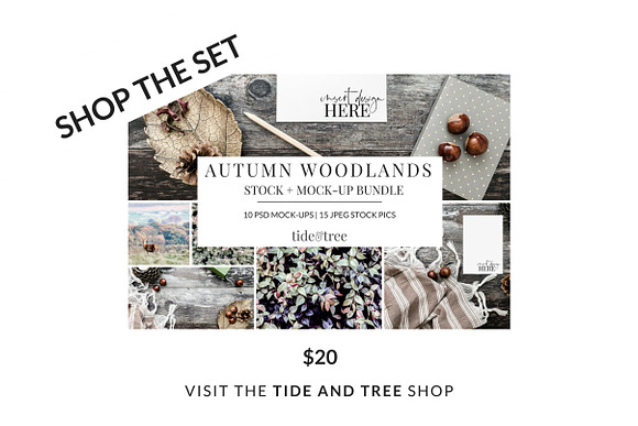 Autumn Woodlands | Vertical No 3 in Social Media Templates - product preview 2