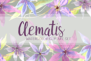Watercolor Clematis Clip Art Set