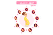 Pregnancy trimester infographic