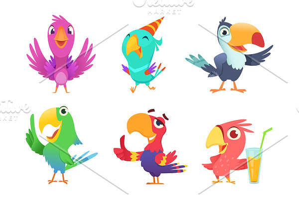 Cartoon parrots characters. Cute